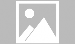 长沙爆料淄博新闻最新消息,长沙爆料最新动态，聚焦城市热点事件